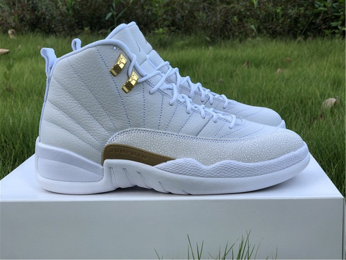Air Jordan 12 OVO _White_ Platinum OVO_ Correct Version_ Original Box_ 40 --- 47.5-21a4e29d